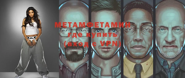 прущие грибы Абаза
