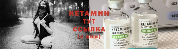 прущие грибы Абаза