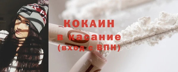 прущие грибы Абаза