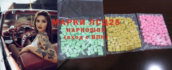 прущие грибы Абаза