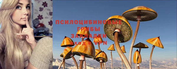 гидропоника Абдулино