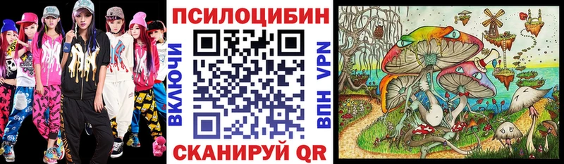 купить наркотик  Новоалтайск  Галлюциногенные грибы GOLDEN TEACHER 
