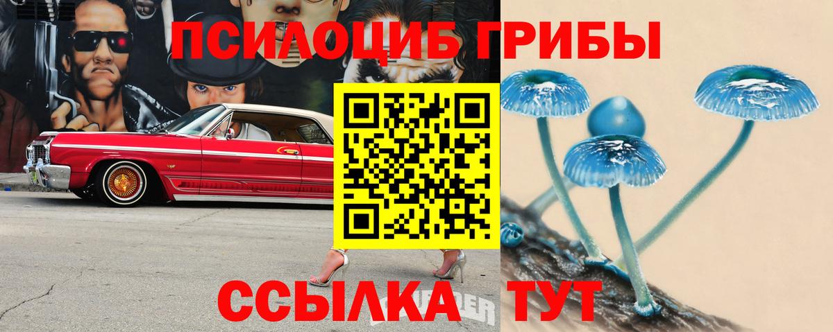 Галлюциногенные грибы Psilocybe  Вход с VPN  Новоалтайск 